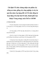 Chỉ định Tổ chức chứng nhận sản phẩm cây trồng an toàn, giống cây công nghiệp và cây ăn quả lâu năm (Áp dụng đối với Tổ chức đăng ký hoạt động trên địa bàn 01 tỉnh, thành phố trực thuộc Trung ương); mã số hồ sơ 145340 pot