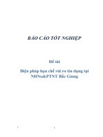 Đề tài: Biện pháp hạn chế rủi ro tín dụng tại NHNo&PTNT Bắc Giang pps