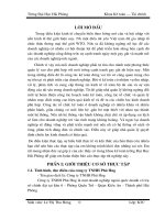 Copy of Bao cao tquan Le Huong potx