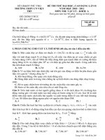 ĐỀ THI THỬ ĐẠI HỌC, CAO ĐẲNG LẦN II NĂM HỌC 2010 - 2011 MÔN THI: VẬT LÝ - KHỐI: A pdf