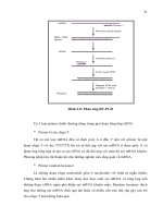 Luận văn : XÂY DỰNG QUY TRÌNH PHÁT HIỆN VIRUS PMWaV-1 GÂY BỆNH HÉO ĐỎ ĐẦU LÁ (Mealybug wilt) TRÊN CÂY DỨA CAYENNE BẰNG PHƯƠNG PHÁP RT-PCR part 4 pptx