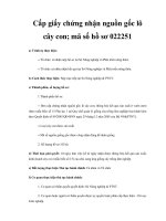 Cấp giấy chứng nhận nguồn gốc lô cây con; mã số hồ sơ 022251 pot