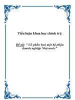 Tiểu luận KTCT: 