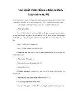 Giải quyết tranh chấp lao động cá nhân, Mã số hồ sơ 013395 ppt