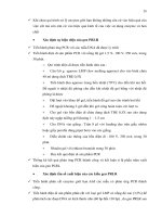 Luận văn : Ứng dụng kỹ thuật PCR - RFLP xác định các kiểu gen thụ thể prolactin trên giống heo Yorkshire part 4 potx