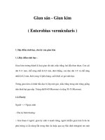 Giun sán - Giun kim ( Enterobius vermicularis ) ppt