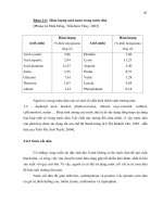 Luận văn : Đa dạng hóa các môi trường sản xuất bacterial cellulose từ vi khuẩn Acetobacter xylinum part 3 pptx