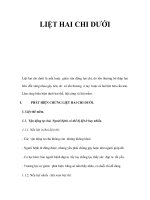 LIỆT HAI CHI DƯỚI ppt