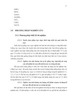 Luận văn : BƯỚC ĐẦU NGHIÊN CỨU SẢN XUẤT BỘT CACAO BẰNG PHƯƠNG PHÁP LÊN MEN CÓ BỔ SUNG VI SINH VẬT part 5 ppsx