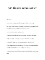 Gãy đầu dưới xương cánh tay pdf