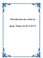 Tiểu luận khoa học chính trị: Những vấn đề về KTTT pptx