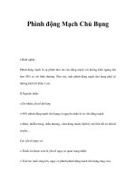 Phình động Mạch Chủ Bụng pot