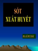 TÌM HIỂU VỀ SỐT XUẤT HUYẾT VÀ CÁCH ĐIỀU TRỊ ppt