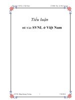 Tiểu luận: SVNL ở Việt Nam potx