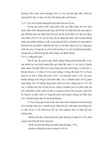 Đề tài : KHẢO SÁT CÁC YẾU TỐ ẢNH HƯỞNG ĐẾN CHẤT LƯỢNG CỦ CẢI TRẮNG MUỐI CHUA part 3 potx