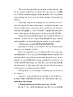 Luận văn tốt nghiệp: Thực trạng và giải pháp về vấn đề xuất khẩu thủy hải sản của Việt Nam sang Mỹ phần 8 ppsx