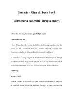 Giun sán - Giun chỉ bạch huyết ( Wuchereria bancrofti - Brugia malayi ) pot