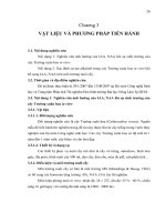 Luận văn : KHẢO SÁT SỰ TÁC ĐỘNG CỦA AUXIN LÊN SỰ SINH TRƯỞNG VÀ SINH TỔNG HỢP ALKALOID CỦA CÂY TRƯỜNG XUÂN HOA (Catharanthus roseus) IN VITRO part 5 doc