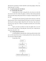 Luận văn : ĐÁNH GIÁ KHẢ NĂNG BẮT AFLATOXIN G1 CỦA CỘT SẮC KÍ ÁI LỰC MIỄN DỊCH DO VIỆN PASTEUR TP. HCM SẢN XUẤT part 3 ppt