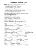 Conditional sentences G.12 ppsx