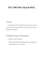 VẾT THƯƠNG MẠCH MÁU ppt