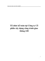 Tổ chức kế toán tại Công ty Cổ phần xây dựng công trình giao thông 228 pptx