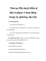Thủ tục Phê duyệt Điều lệ hội có phạm vi hoạt động trong xã, phường, thị trấn pps