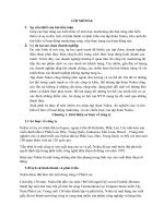 Hoạt động và chiến lược phát triển Marketing của Nokia