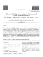 Soil microbial indices as bioindicators of environmental changes in a poplar plantation pot