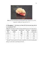 Luận văn : KHẢO SÁT ẢNH HƯỞNG CỦA VI KHUẨN METHYLOBACTERIUM SP. LÊN SỰ PHÁT SINH CƠ QUAN Ở CÂY LÚA (Ozyra sativa L) NUÔI CẤY IN VITRO part 3 ppsx