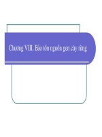 Bài giảng giống cây rừng : Bảo tồn nguồn gen cây rừng part 1 doc