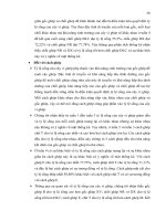 Luận văn : NGHIÊN CỨU KỸ THUẬT VI GHÉP CÂY BƯỞI (Citrus grandis) part 6 pot