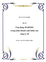 Đề tài: Ứng dụng MARMIX trong kinh doanh xuất khẩu của công ty 20 pot