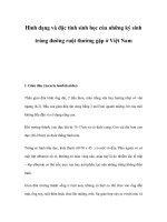 Hình dạng và đặc tính sinh học của những ký sinh trùng đường ruột pot