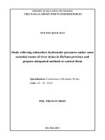 tóm tắt tiếng anh  nghiên cứu giải pháp chống mạch đùn mạch sủi đảm bảo an toàn đê trên địa bàn tỉnh hà nam.