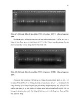 Luận văn : Nghiên cứu đa dạng nguồn gen dứa Cayenne bằng phương pháp marker phân tử part 5 ppt