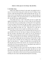 Thiết kế hệ thống cô đặc đường 10 tấn giờ