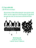 Bài giảng nguyên lý cắt gọt gỗ : Nguyên lý và công cụ đánh nhẵn part 2 pptx