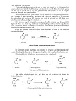 GIÁO TRÌNH : THỰC TẬP SINH HÓA part 7 potx