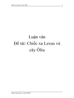 Chiếc lexus và cây Ôliu doc