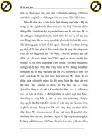 Giáo trình hình thành một số giải pháp kinh tế chủ yếu nhằm mở rộng thị trường xuất khẩu sang các nước trong khu vực p3 pdf