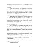 Luận văn : Chế biến sản phẩm vỏ bưởi tẩm đường part 3 pot