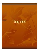 Bài giảng trình bày vấn đề Bỏng nhiệt