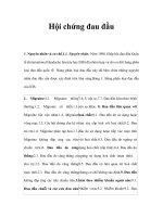 Hội chứng đau đầu doc