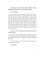 Định hướng và giải pháp hoạt động kinh doanh của chi nhánh ngân hàng nông nghiệp và phát triển nông thôn Láng Hạ