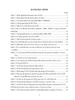 Luận văn : XÂY DỰNG CƠ SỞ DỮ LIỆU HAI GENE HSP-70 và REVERSE TRANSCRIPTE-RNaseH Ở MỘT SỐ LOÀI VIRUS THỰC VẬT part 2 potx