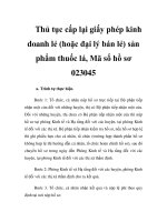 Thủ tục cấp lại giấy phép kinh doanh lẻ (hoặc đại lý bán lẻ) sản phẩm thuốc lá, Mã số hồ sơ 023045 pptx