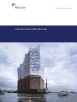 holcim strength performance passion half year report 2009 holcim ltd