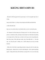 KHÁNG HISTAMIN H1 pps