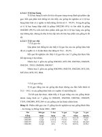Luận văn : KHẢO NGHIỆM ĐẶC TÍNH NÔNG HỌC, NĂNG SUẤT, PHẨM CHẤT CỦA 15 GIỐNG LÚA QUỐC GIA A2 TẠI TRẠI GIỐNG BÌNH ĐỨC - AN GIANG VỤ ĐÔNG XUÂN 2004 -2005 part 6 potx